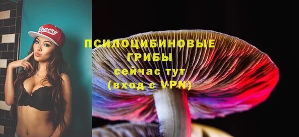 a pvp Володарск